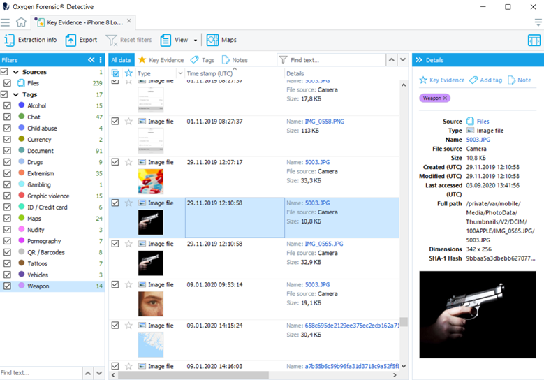 Screenshot of user performing image categorization in Oxygen Forensic® Detective